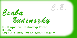 csaba budinszky business card